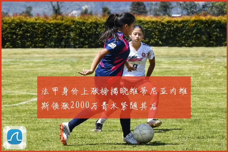 法甲身价上涨榜揭晓维蒂尼亚内维斯领涨2000万青木紧随其后