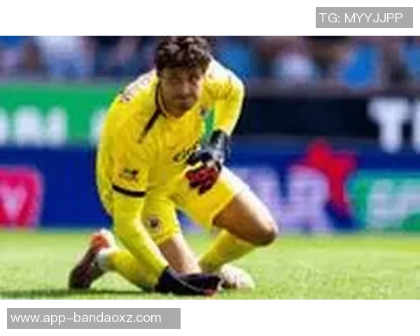 费迪南德称赞拉门斯稳定表现提升全队信心助力战胜桑德兰