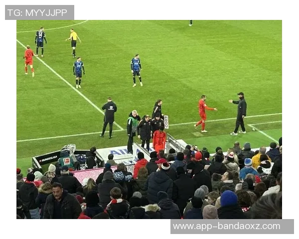 海登海姆计划与拜仁谈判以留住小伊布实现长期合作